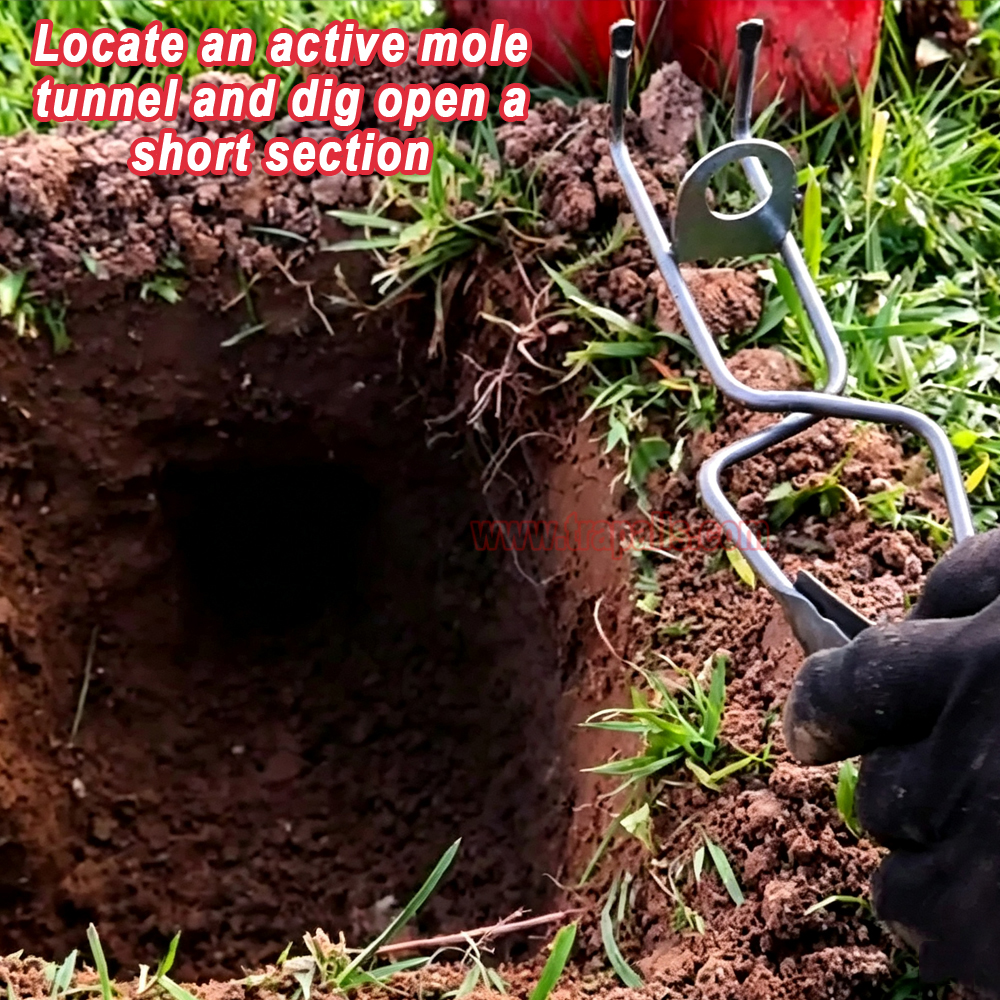 Outdoor Garden Underground Tunnel Reusable Gopher Control Vole Catcher Metal Mole Trap - Image 10