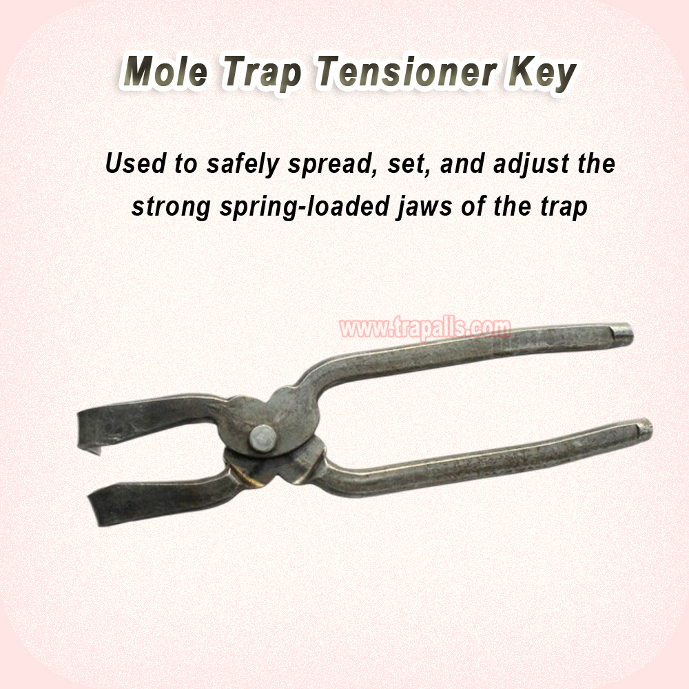 Portable Spring Tension Key Setting Tool for Spring Loaded Scissor Gopher Trap Mole Trap Tension Wrench - Image 4