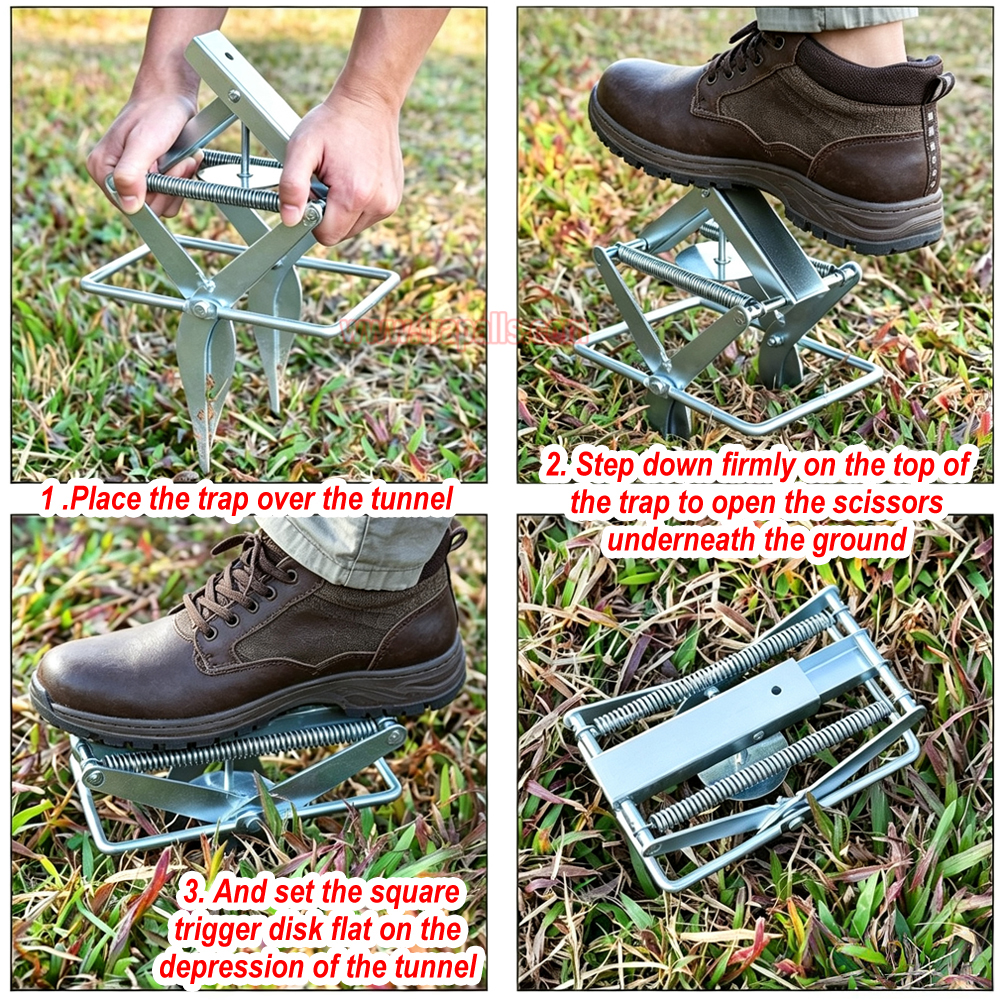 Outdoor Metal Galvanized Steel Vole Trap with Sensitive Trigger Gopher Catcher Spear Type Mole Trap - Image 11