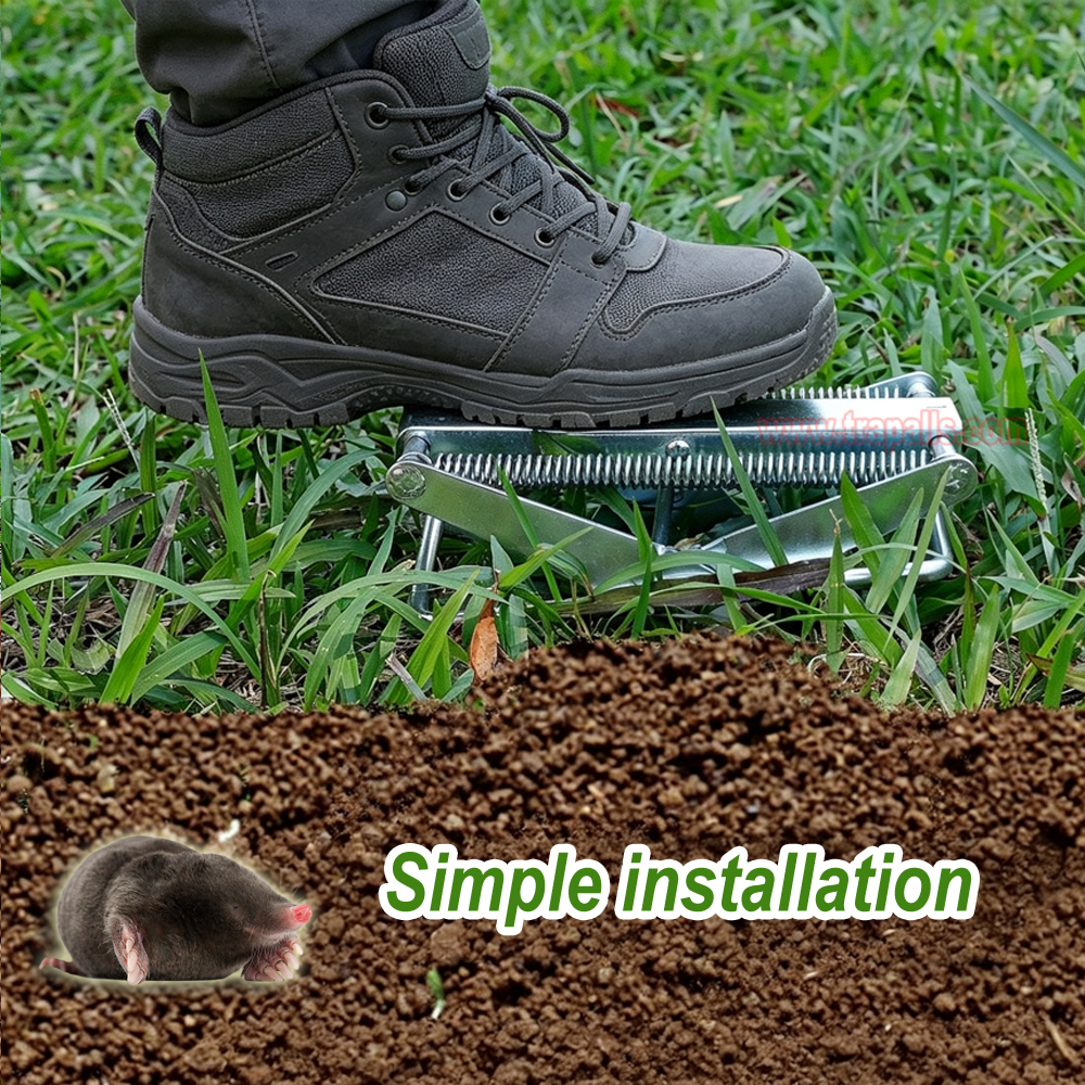 Outdoor Metal Galvanized Steel Vole Trap with Sensitive Trigger Gopher Catcher Spear Type Mole Trap - Image 12