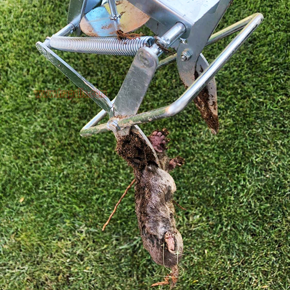 Outdoor Metal Galvanized Steel Vole Trap with Sensitive Trigger Gopher Catcher Spear Type Mole Trap - Image 14