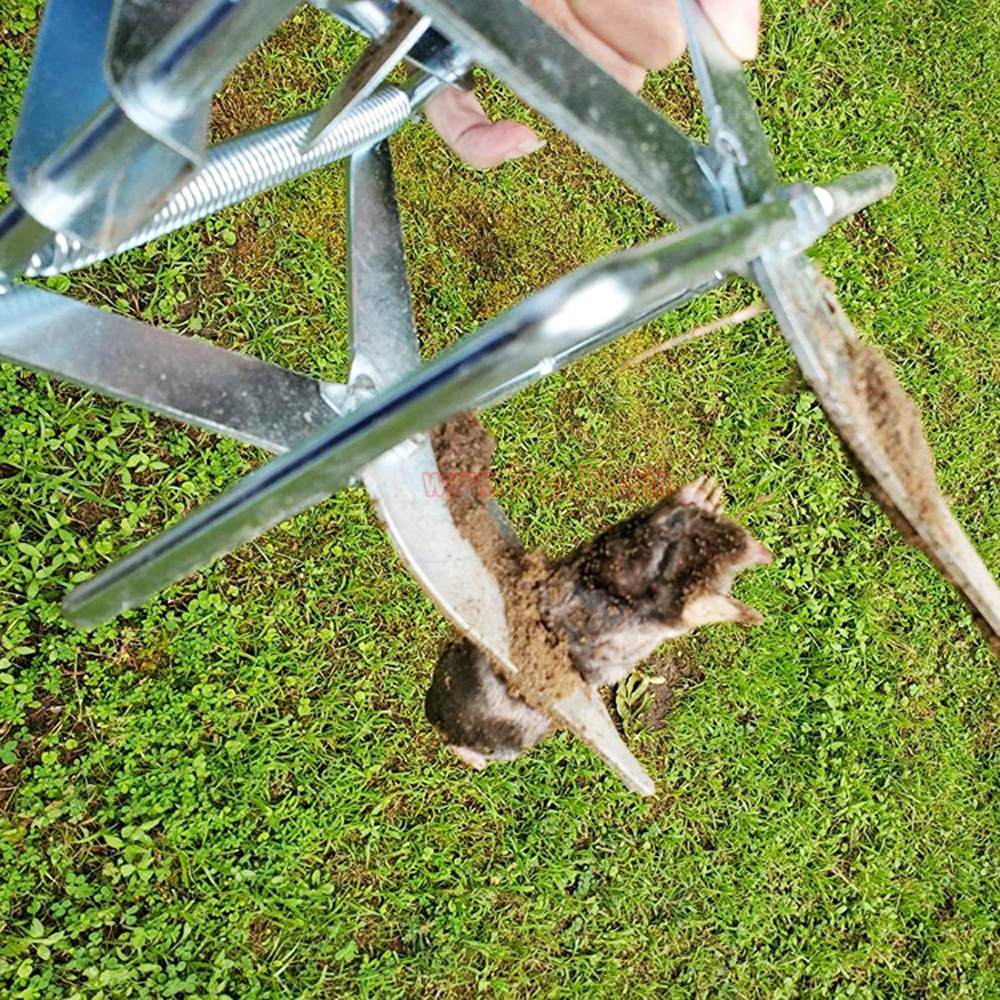 Outdoor Metal Galvanized Steel Vole Trap with Sensitive Trigger Gopher Catcher Spear Type Mole Trap - Image 15