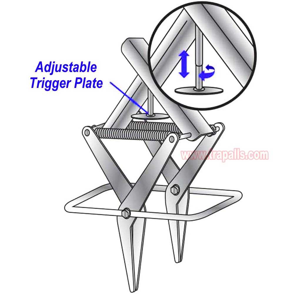 Outdoor Metal Galvanized Steel Vole Trap with Sensitive Trigger Gopher Catcher Spear Type Mole Trap - Image 18