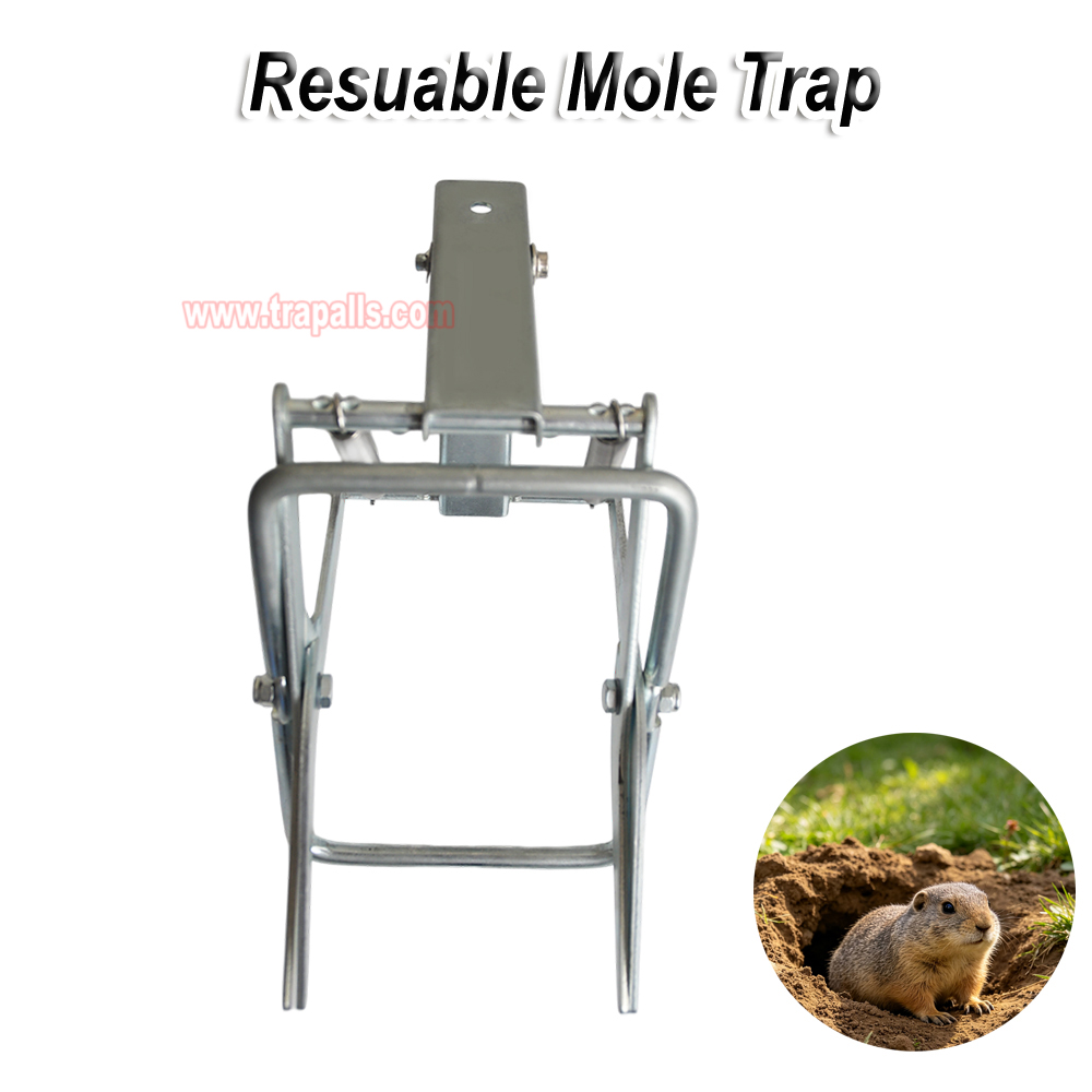 Outdoor Metal Galvanized Steel Vole Trap with Sensitive Trigger Gopher Catcher Spear Type Mole Trap - Image 4