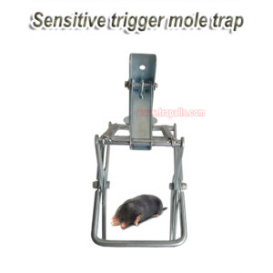 Outdoor Metal Galvanized Steel Vole Trap with Sensitive Trigger Gopher Catcher Spear Type Mole Trap - Image 5