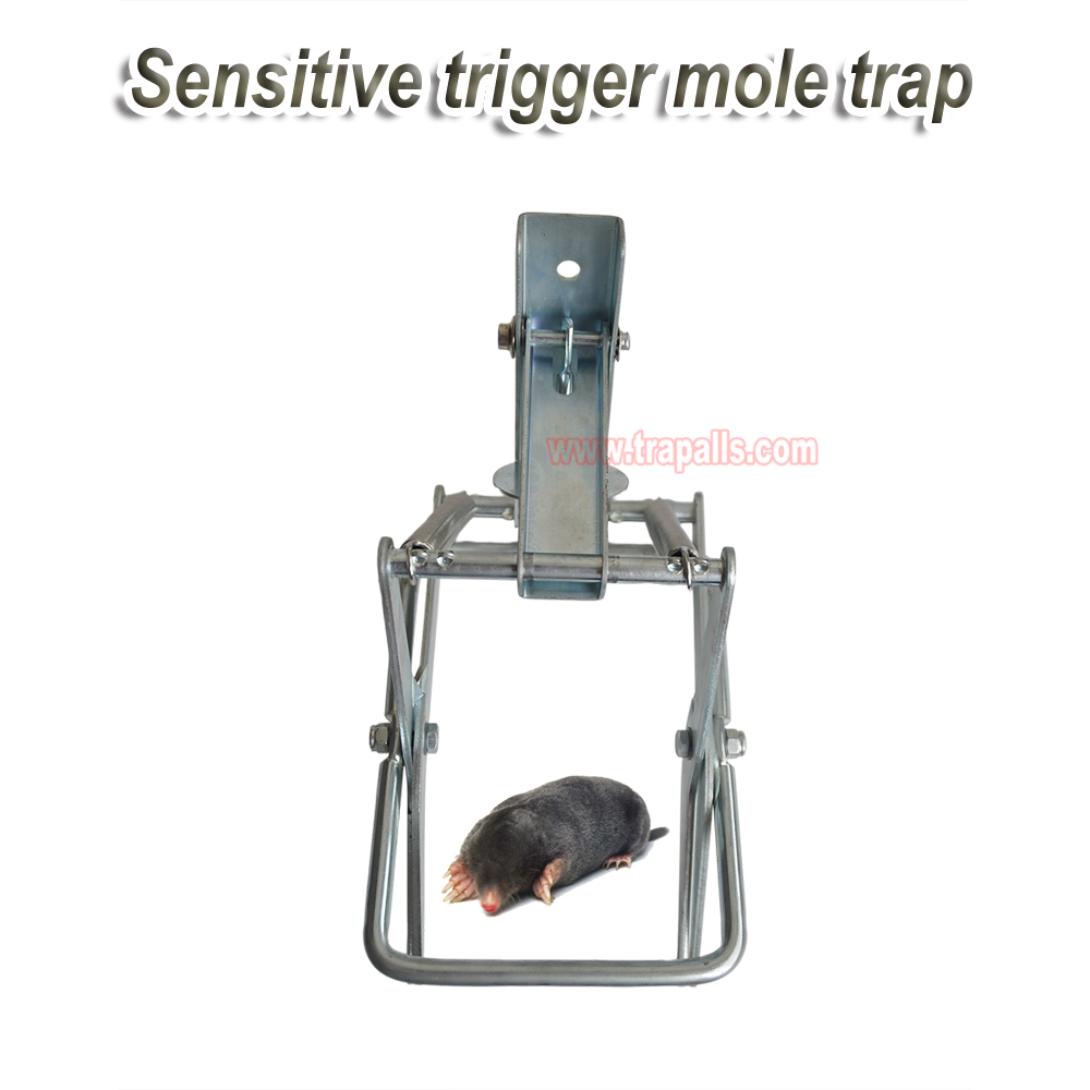 Outdoor Metal Galvanized Steel Vole Trap with Sensitive Trigger Gopher Catcher Spear Type Mole Trap - Image 5