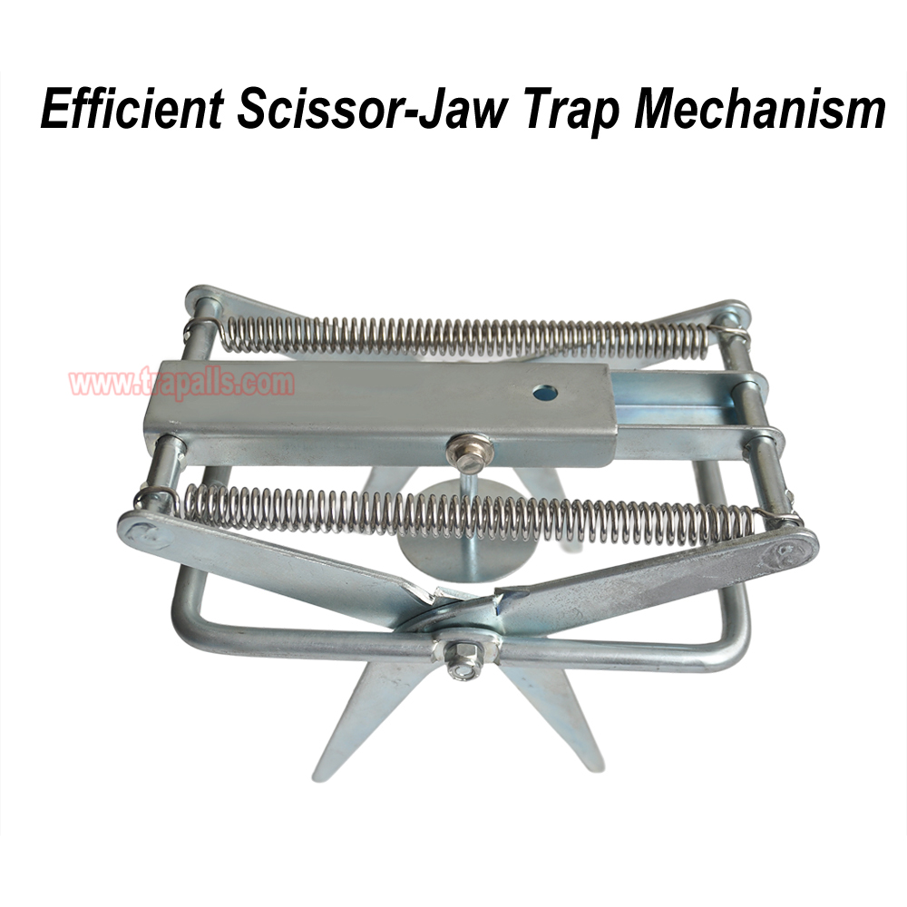 Outdoor Metal Galvanized Steel Vole Trap with Sensitive Trigger Gopher Catcher Spear Type Mole Trap - Image 6