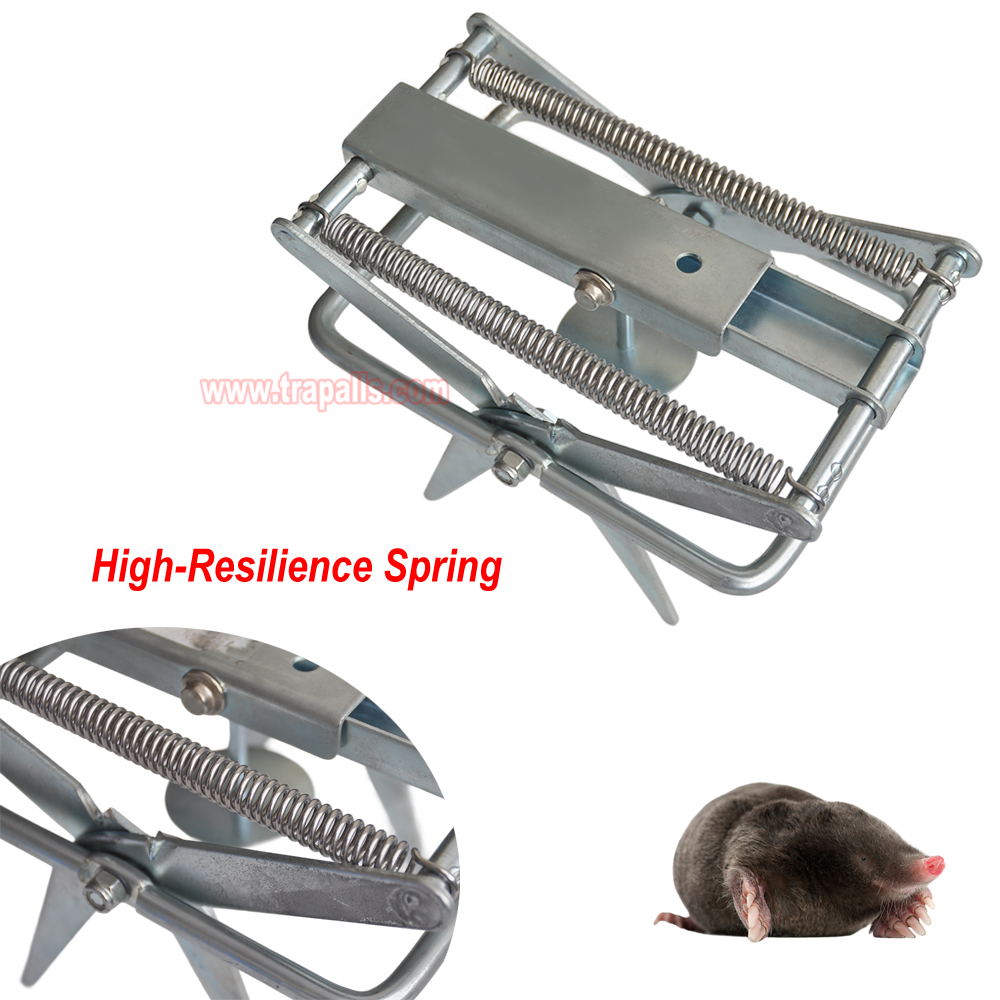 Outdoor Metal Galvanized Steel Vole Trap with Sensitive Trigger Gopher Catcher Spear Type Mole Trap - Image 8