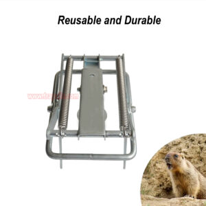 Outdoor Metal Galvanized Steel Vole Trap with Sensitive Trigger Gopher Catcher Spear Type Mole Trap - Image 9
