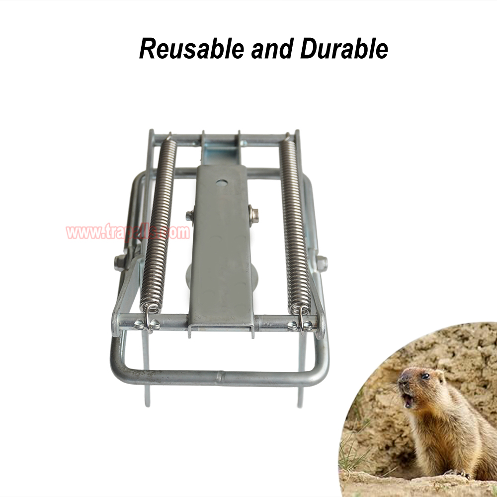 Outdoor Metal Galvanized Steel Vole Trap with Sensitive Trigger Gopher Catcher Spear Type Mole Trap - Image 9