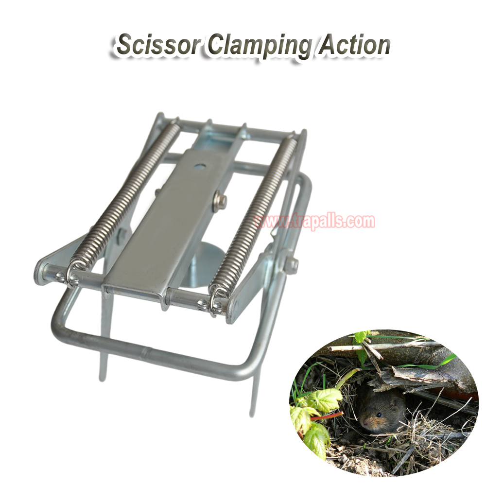 Outdoor Metal Galvanized Steel Vole Trap with Sensitive Trigger Gopher Catcher Spear Type Mole Trap - Image 10