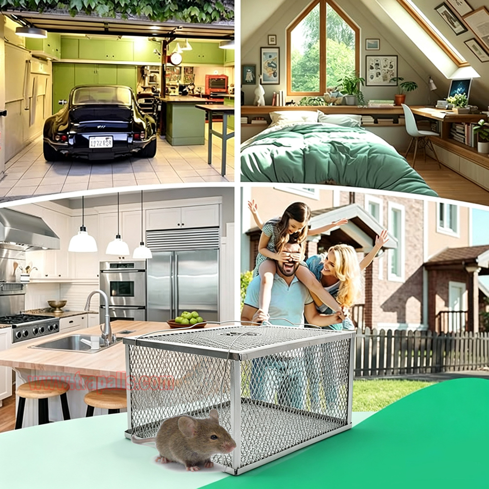 Indoor Warehouse Humane Durable Wire Mesh Reusable Mouse Cage Multi-Catch Live Mouse Trap Cage - Image 13