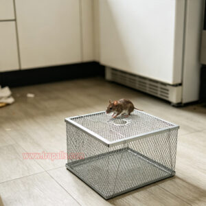 Indoor Warehouse Humane Durable Wire Mesh Reusable Mouse Cage Multi-Catch Live Mouse Trap Cage - Image 15