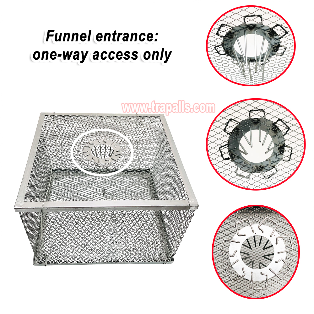 Indoor Warehouse Humane Durable Wire Mesh Reusable Mouse Cage Multi-Catch Live Mouse Trap Cage - Image 5