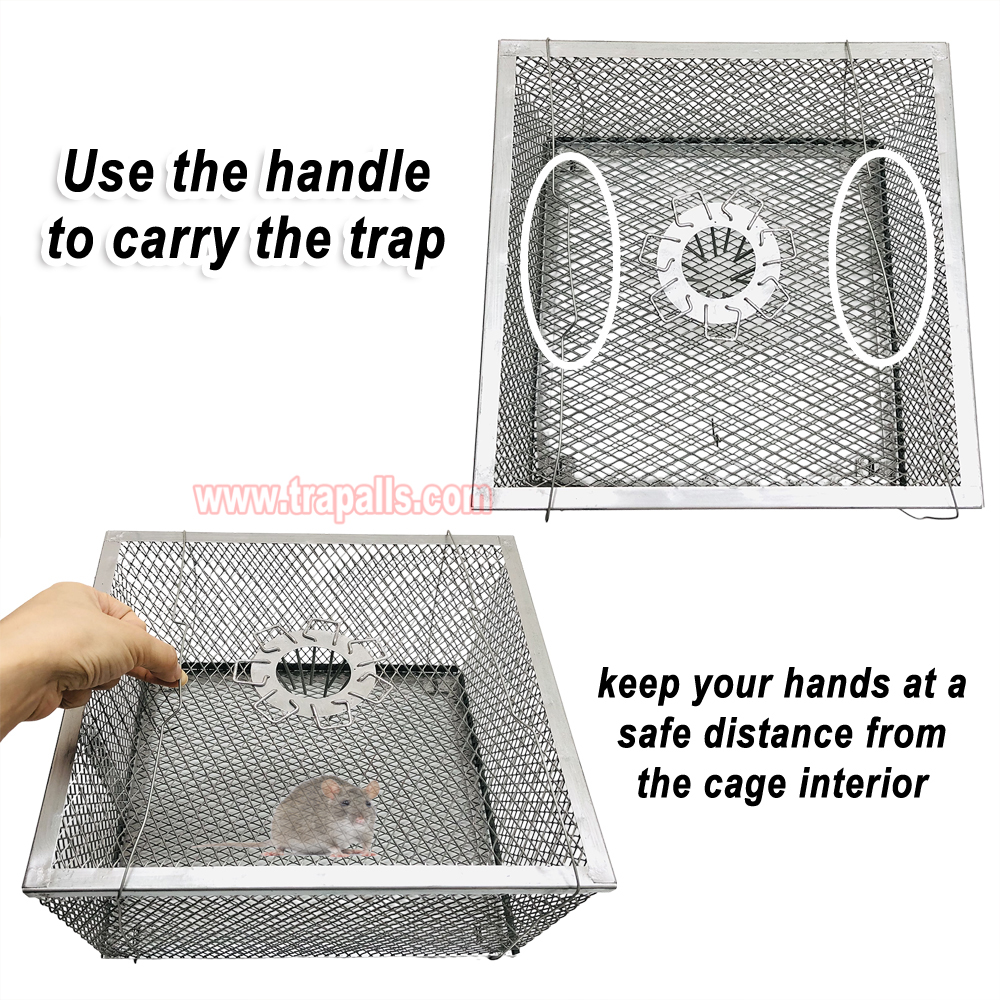 Indoor Warehouse Humane Durable Wire Mesh Reusable Mouse Cage Multi-Catch Live Mouse Trap Cage - Image 7