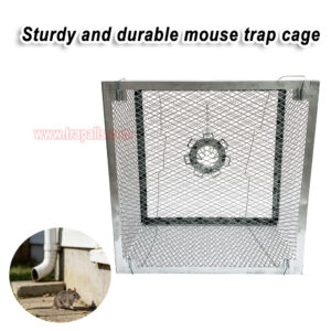 Indoor Warehouse Humane Durable Wire Mesh Reusable Mouse Cage Multi-Catch Live Mouse Trap Cage - Image 8