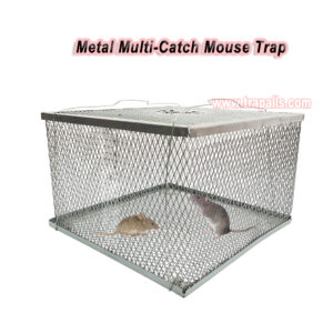 Indoor Warehouse Humane Durable Wire Mesh Reusable Mouse Cage Multi-Catch Live Mouse Trap Cage - Image 9