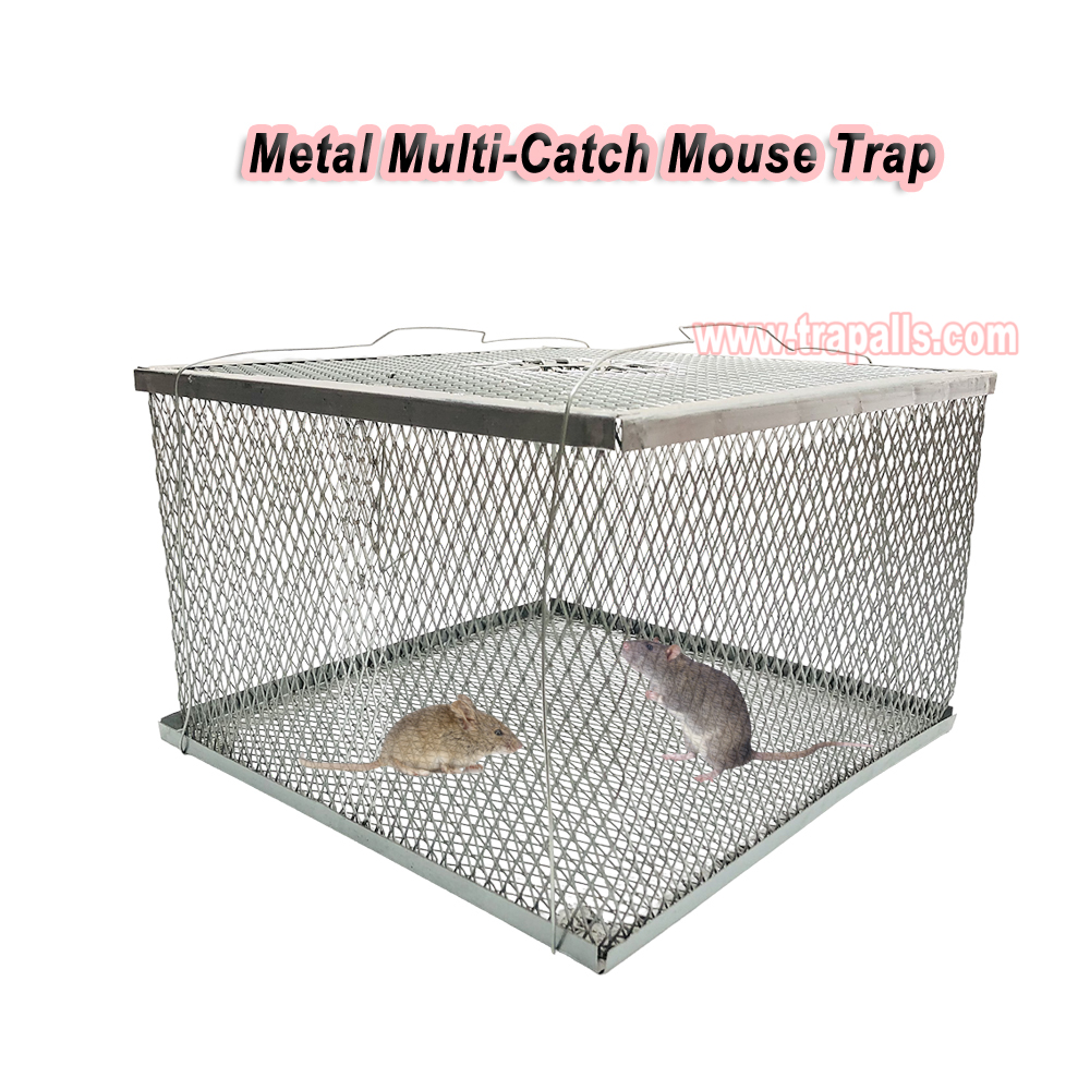 Indoor Warehouse Humane Durable Wire Mesh Reusable Mouse Cage Multi-Catch Live Mouse Trap Cage - Image 9