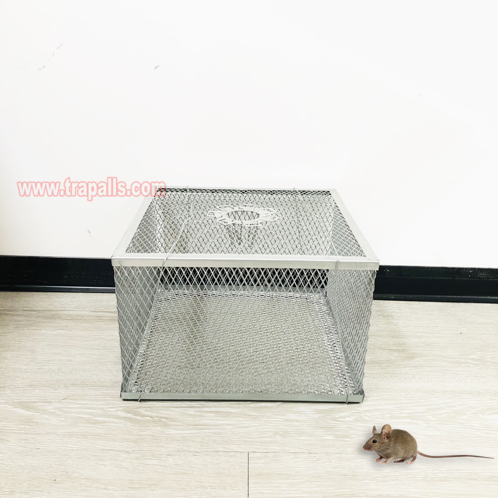 Indoor Warehouse Humane Durable Wire Mesh Reusable Mouse Cage Multi-Catch Live Mouse Trap Cage - Image 10