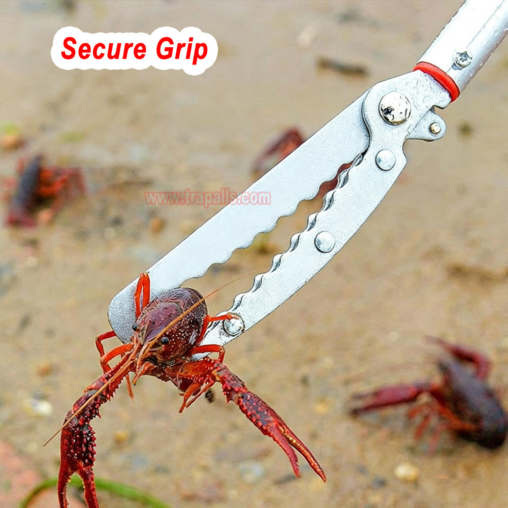 Outdoor Aquaculture Adjustable Fishing Tong Telescopic Eel Clamp Extendable Snake Catcher with Safety Lock - Image 13