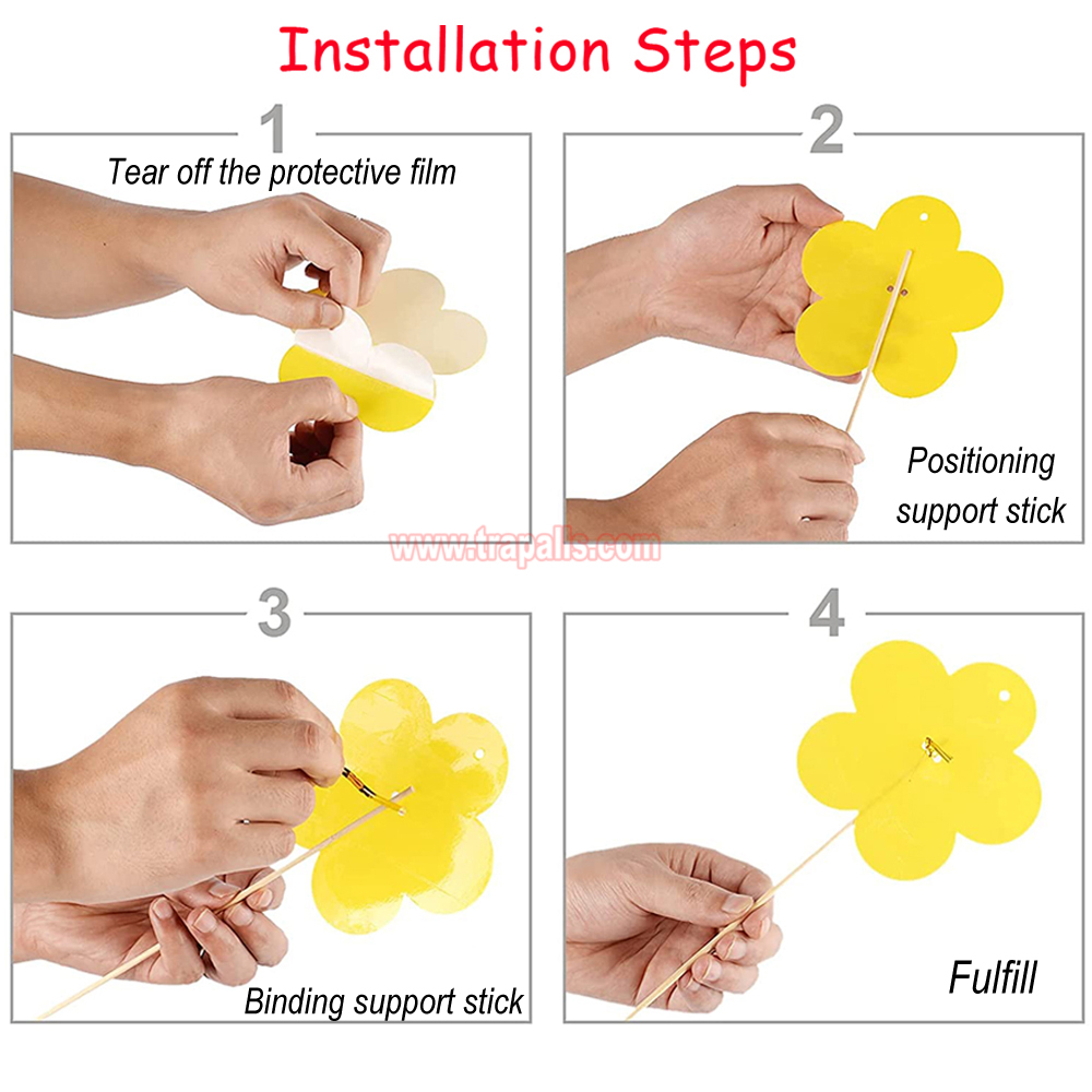 Home Garden Insect Moth Gnat Control Dual-Sided Yellow Sticky Fruit Fly Glue Trap - Image 4