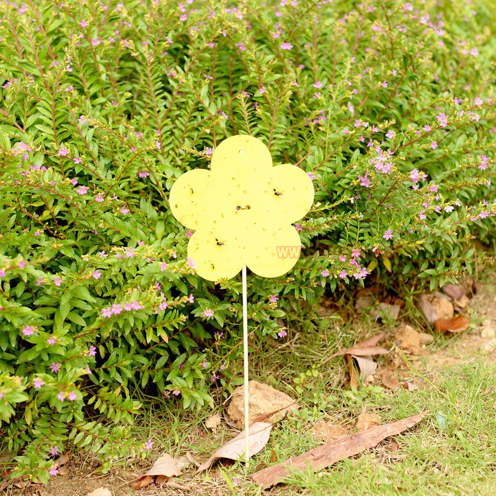 Home Garden Insect Moth Gnat Control Dual-Sided Yellow Sticky Fruit Fly Glue Trap - Image 7