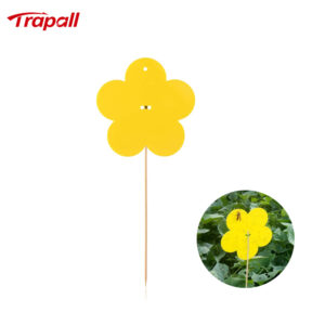 Home Garden Insect Moth Gnat Control Dual-Sided Yellow Sticky Fruit Fly Glue Trap
