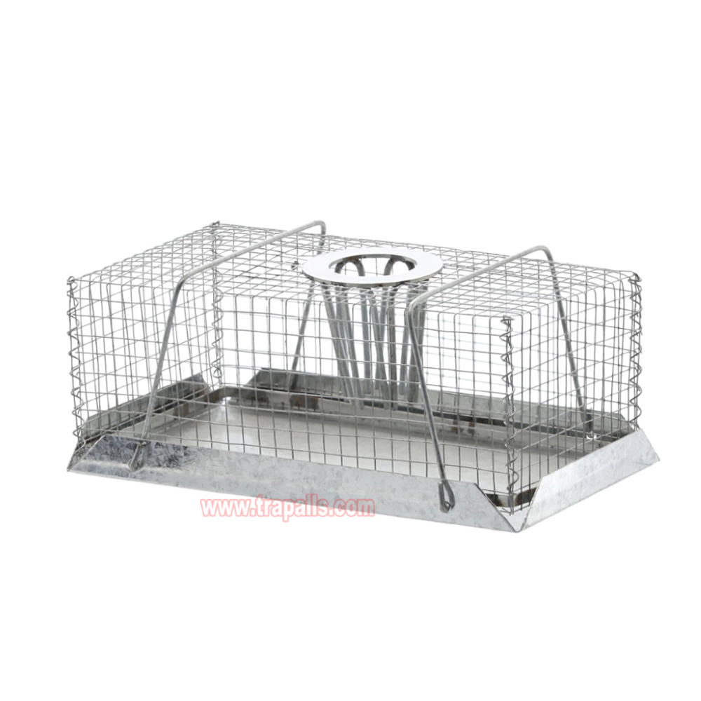 Indoor Warehouse Humane Escape-Proof Design Reusable Mouse Cage Multi-Catch Live Mouse Trap - Image 2