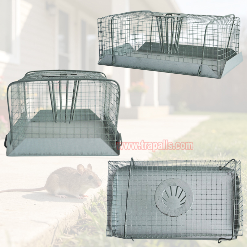 Indoor Warehouse Humane Escape-Proof Design Reusable Mouse Cage Multi-Catch Live Mouse Trap - Image 13