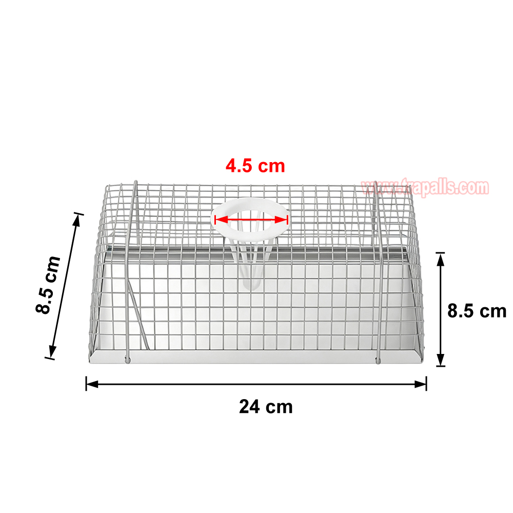 Indoor Warehouse Humane Escape-Proof Design Reusable Mouse Cage Multi-Catch Live Mouse Trap - Image 3