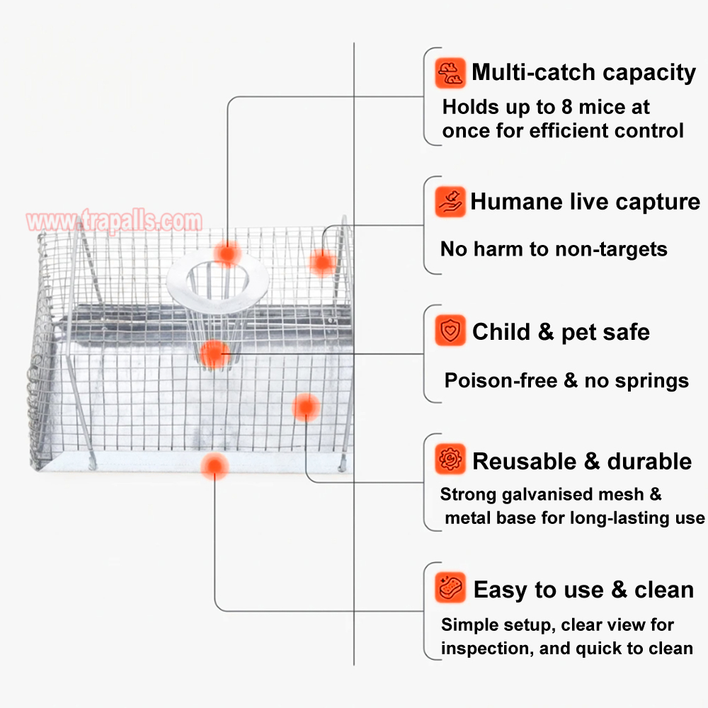 Indoor Warehouse Humane Escape-Proof Design Reusable Mouse Cage Multi-Catch Live Mouse Trap - Image 4