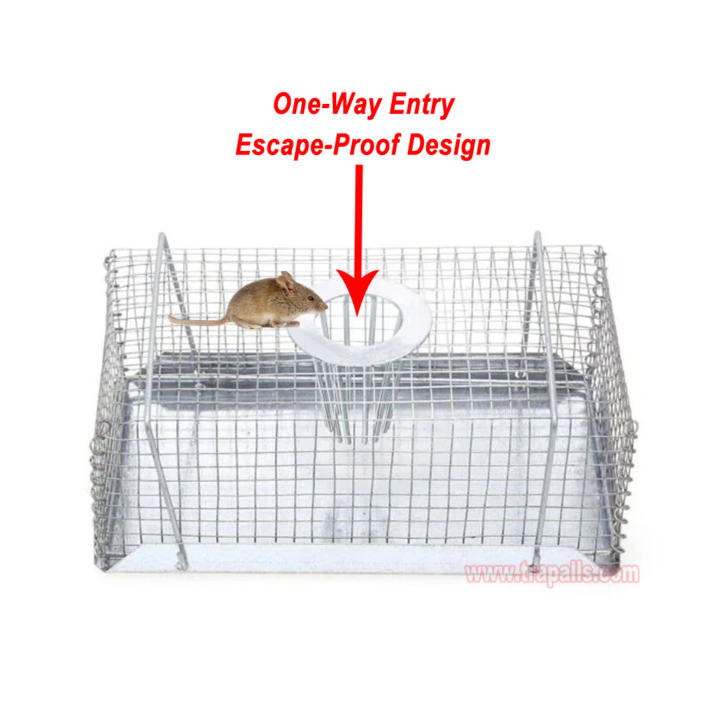 Indoor Warehouse Humane Escape-Proof Design Reusable Mouse Cage Multi-Catch Live Mouse Trap - Image 5