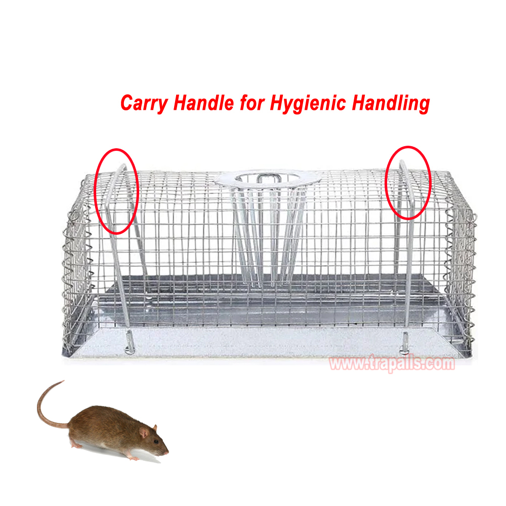 Indoor Warehouse Humane Escape-Proof Design Reusable Mouse Cage Multi-Catch Live Mouse Trap - Image 6