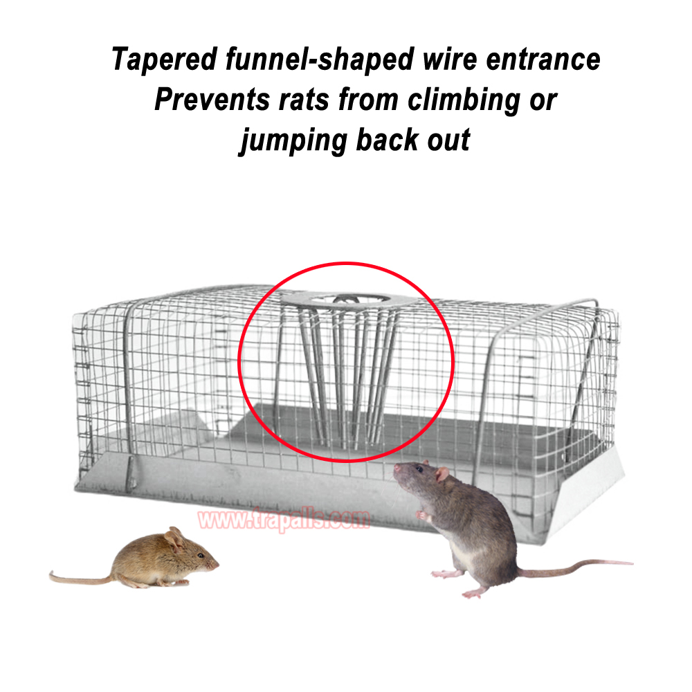 Indoor Warehouse Humane Escape-Proof Design Reusable Mouse Cage Multi-Catch Live Mouse Trap - Image 9