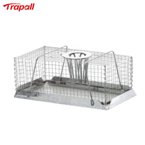 Indoor Warehouse Humane Escape-Proof Design Reusable Mouse Cage Multi-Catch Live Mouse Trap