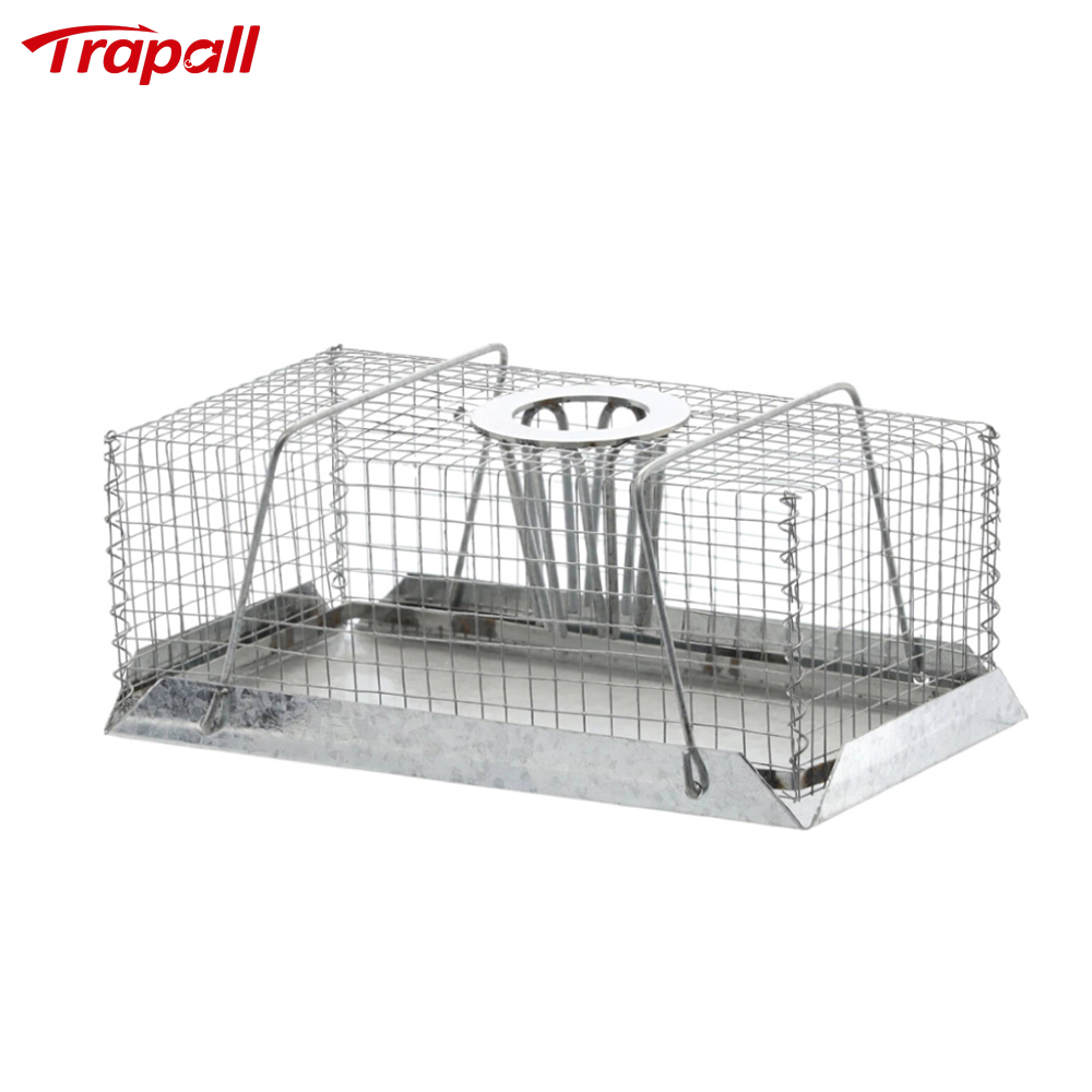 Indoor Warehouse Humane Escape-Proof Design Reusable Mouse Cage Multi-Catch Live Mouse Trap