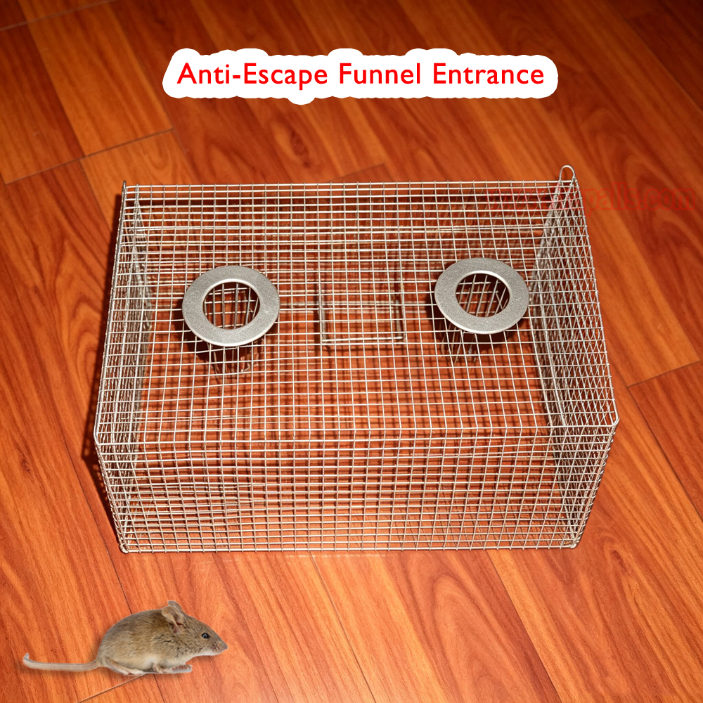 Indoor Warehouse Humane Escape-Proof Design Dual-Entry Access Rodent Control Multi-Catch Live Mouse Trap Cage - Image 4