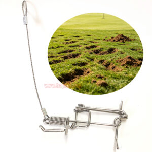 Outdoor Garden Stainless Steel Coil Spring Vole Kill Gopher Catcher Mole Trap with Tether - Image 11