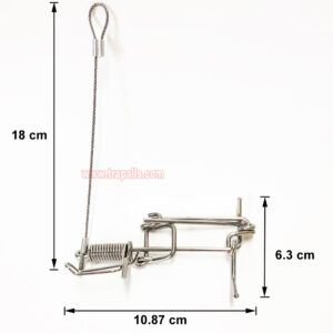 Outdoor Garden Stainless Steel Coil Spring Vole Kill Gopher Catcher Mole Trap with Tether - Image 3