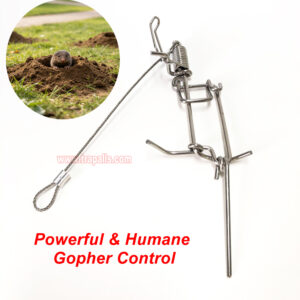 Outdoor Garden Stainless Steel Coil Spring Vole Kill Gopher Catcher Mole Trap with Tether - Image 7