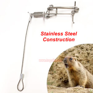 Outdoor Garden Stainless Steel Coil Spring Vole Kill Gopher Catcher Mole Trap with Tether - Image 8