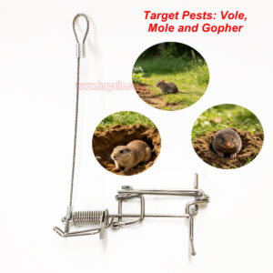 Outdoor Garden Stainless Steel Coil Spring Vole Kill Gopher Catcher Mole Trap with Tether - Image 9