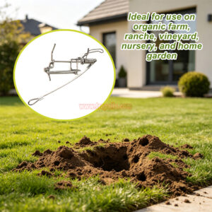 Outdoor Garden Stainless Steel Coil Spring Vole Kill Gopher Catcher Mole Trap with Tether - Image 10