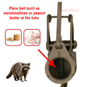 Outdoor Garden Pet Safe and Friendly Muskrat Catcher Rust Resistant Racoon Trap - Image 13