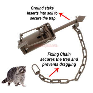 Outdoor Garden Pet Safe and Friendly Muskrat Catcher Rust Resistant Racoon Trap - Image 4