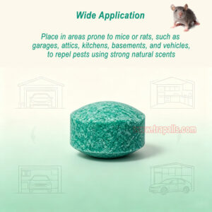 Indoor Outdoor Safe Non-Toxic Natural Peppermint Oil Rodent Repellent Tablets Mouse Repellent Balls - Image 16