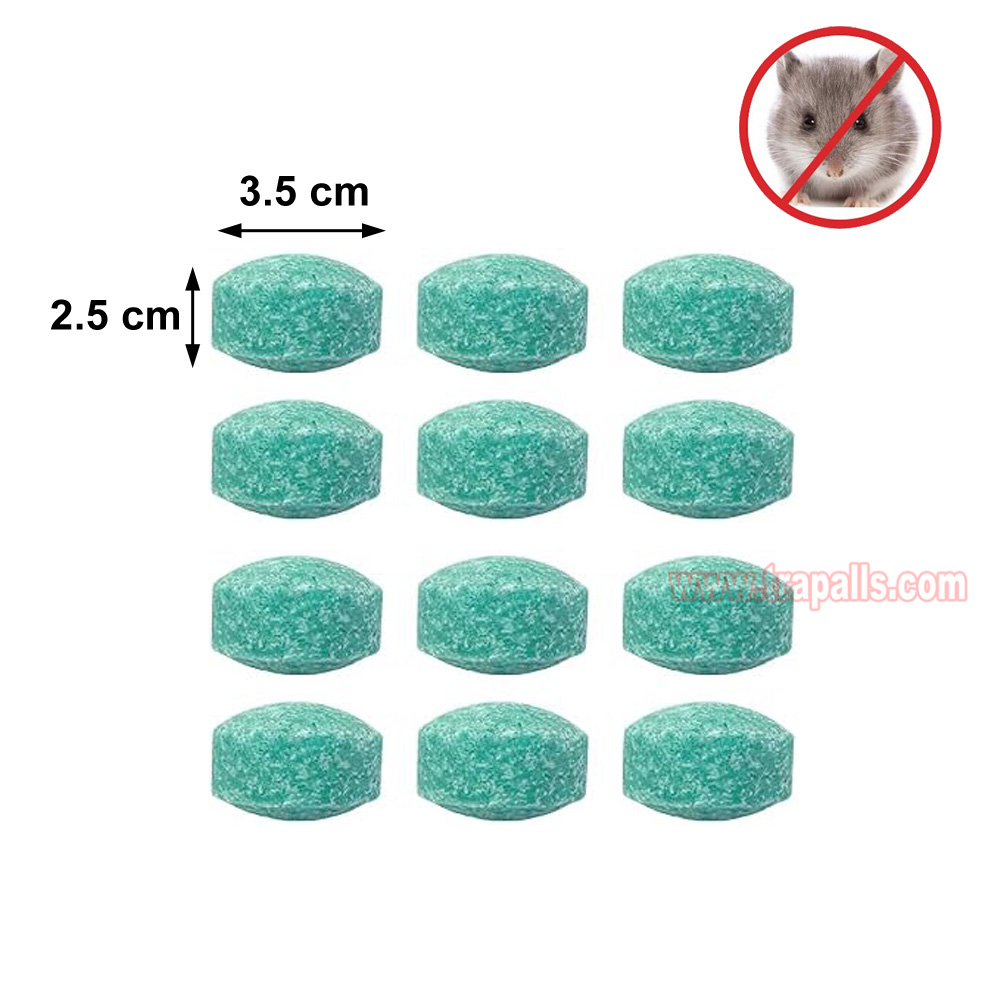 Indoor Outdoor Safe Non-Toxic Natural Peppermint Oil Rodent Repellent Tablets Mouse Repellent Balls - Image 3