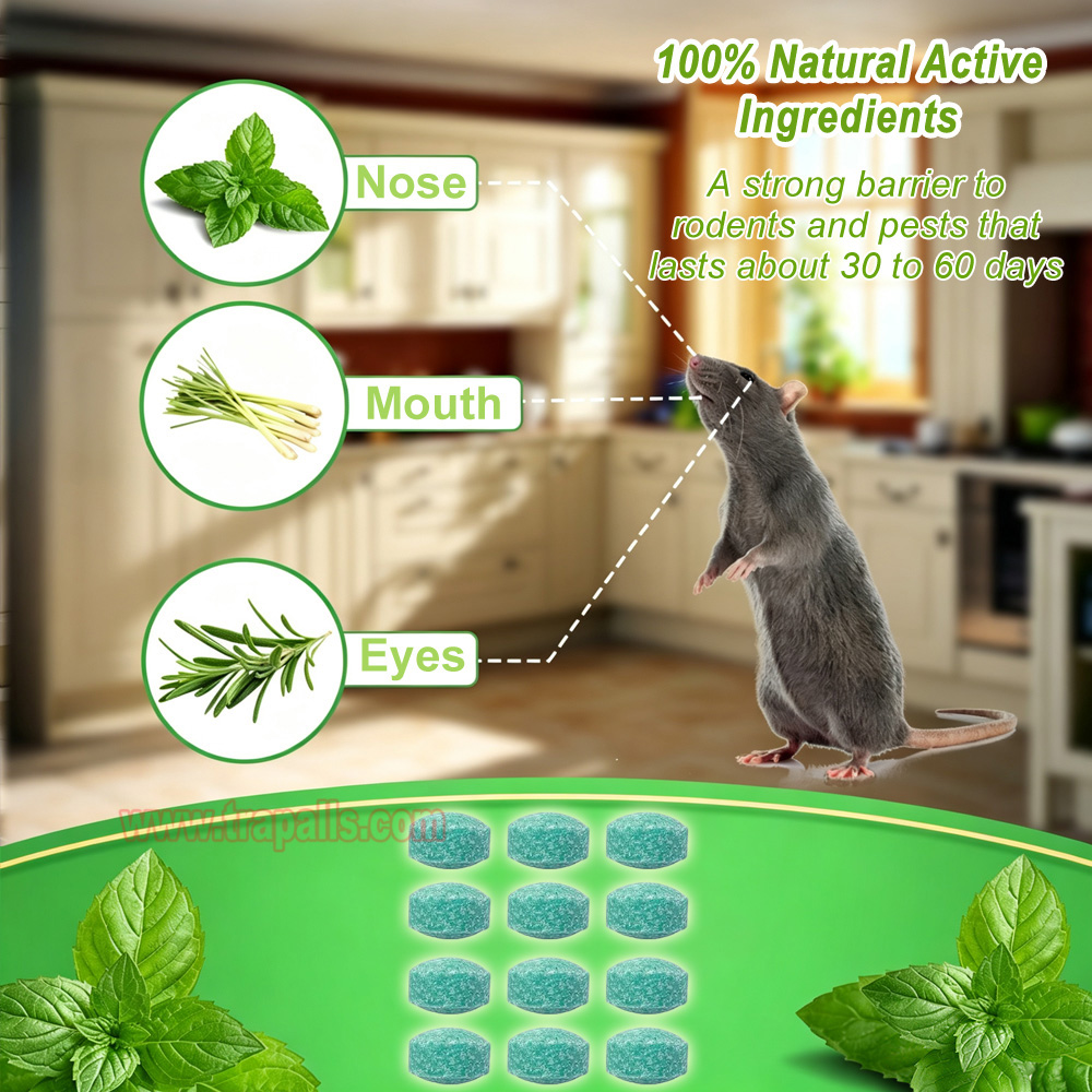 Indoor Outdoor Safe Non-Toxic Natural Peppermint Oil Rodent Repellent Tablets Mouse Repellent Balls - Image 4