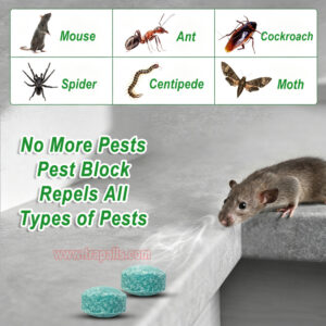 Indoor Outdoor Safe Non-Toxic Natural Peppermint Oil Rodent Repellent Tablets Mouse Repellent Balls - Image 5