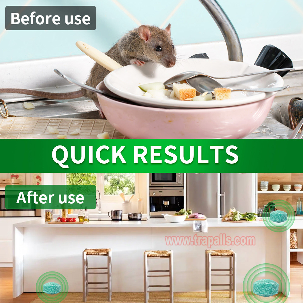 Indoor Outdoor Safe Non-Toxic Natural Peppermint Oil Rodent Repellent Tablets Mouse Repellent Balls - Image 8